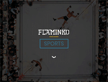 Tablet Screenshot of flaminko.net